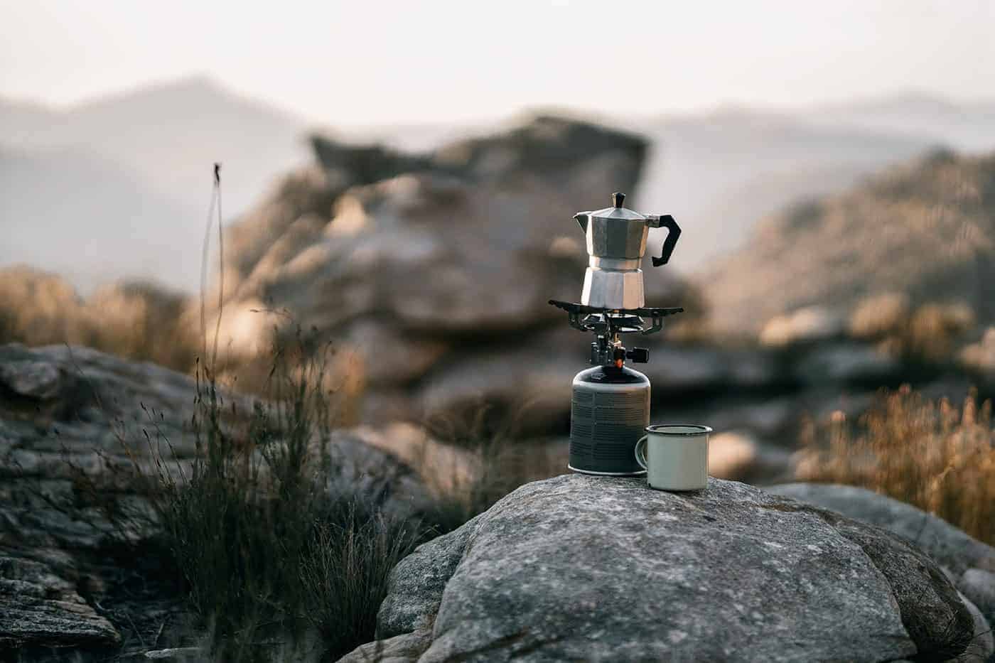 Read more about the article Conquer Bear Country with Confidence
